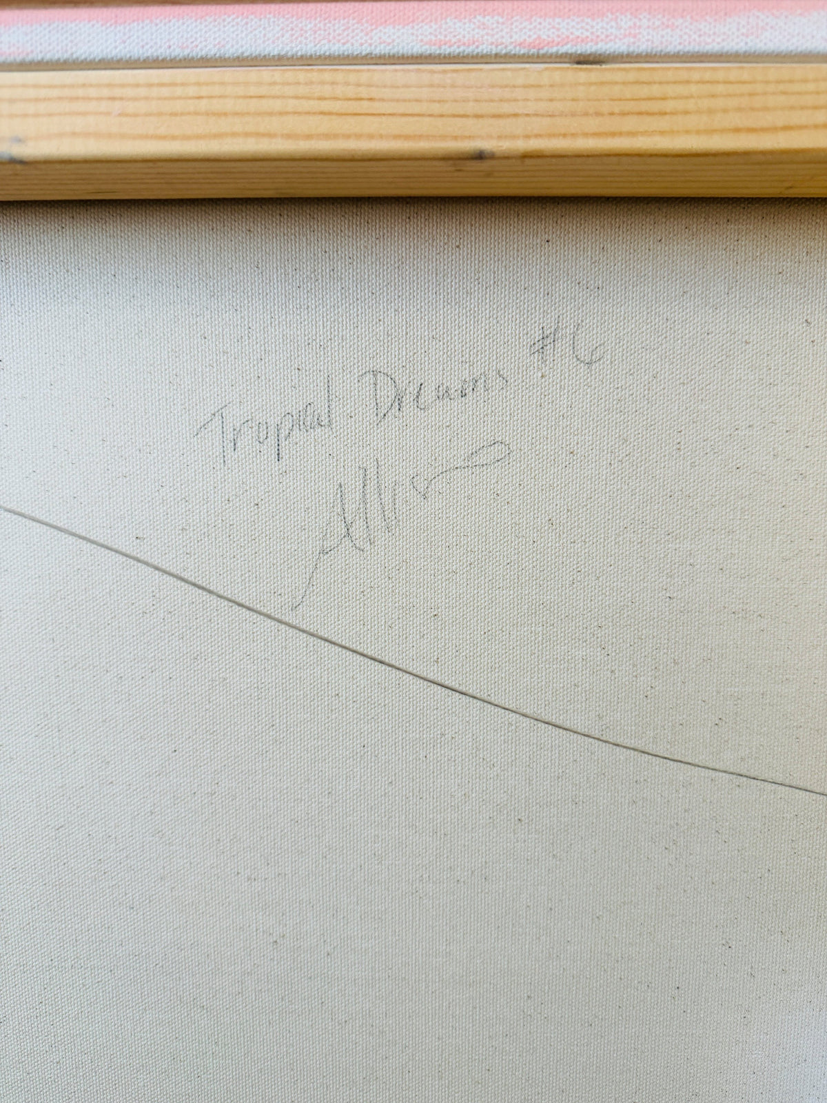 Tropical Dreams #6