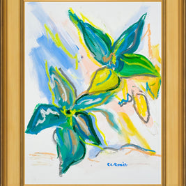 Magnolia Study