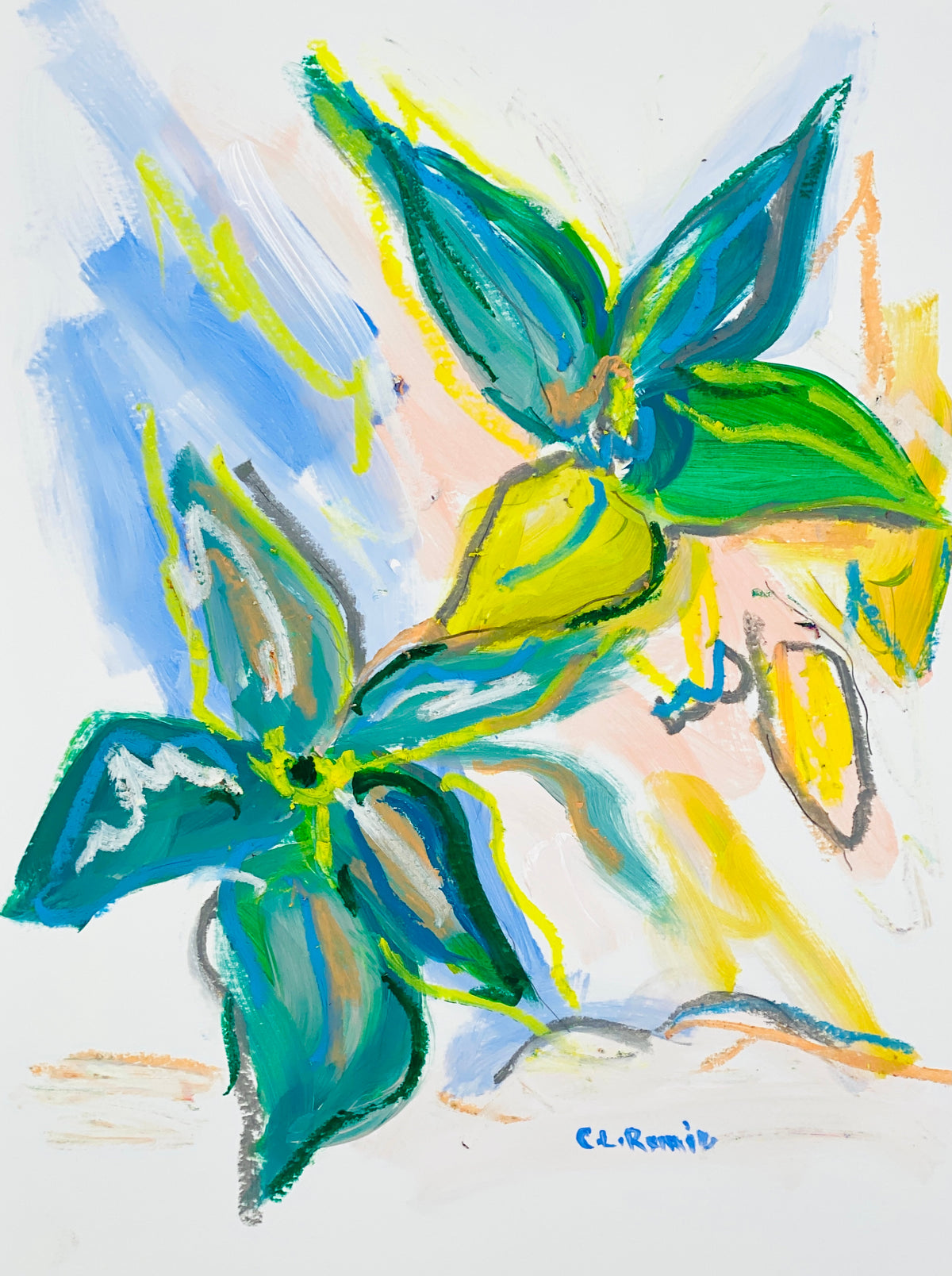 Magnolia Study