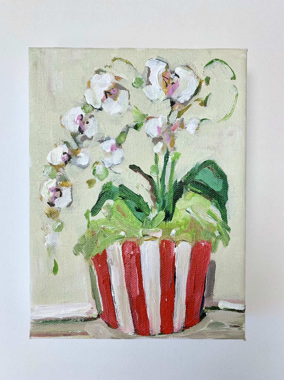 Orchid On Stripes