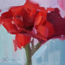 Red Amaryllis